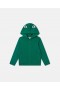 Geansaí Stella McCartney Frog Graphic Hooded Zipper Glas | Léinte T agus Geansaí do Pháistí