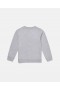  Stella McCartney Cat Graphic Sweatshirt Grå | Barn T-shirts Och Sweatshirts