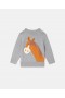 Stella McCartney Heste-sweatshirt med frynser, grå | Børn Baby Drenge
